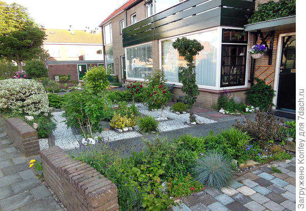 Вариант тоже не сильно хлопотный. Разные хозяева, разные стили. У одного стильненький бордюр из неприхотливых летников и многолетников, у другого все заложено плиткой. а между плитками штамбовые розы и красивые декоративные кустарники. Даже над крыльцом и то что-то растет