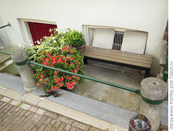 Даже если почти нет совсем дворика, а только небольшая скамейка и вход в полуподвальное помещение, то и это место можно достаточно красиво и просто облагородить