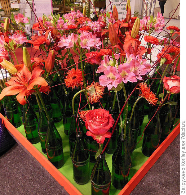 Вот так можно использовать использованные бутылки из-под минеральной воды