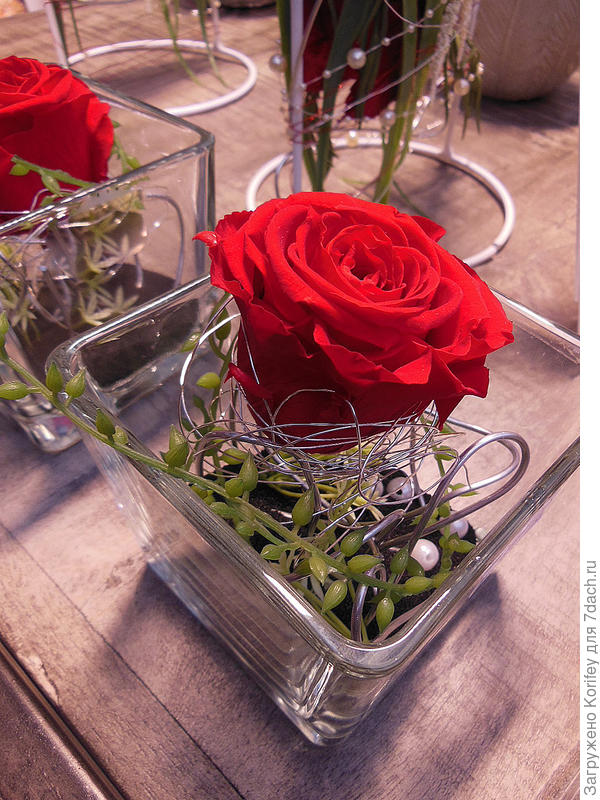 Обычная невысокая ваза с одним единственным цветком розы, закрепленным красиво оформленной обычной алюминиевой проволокой