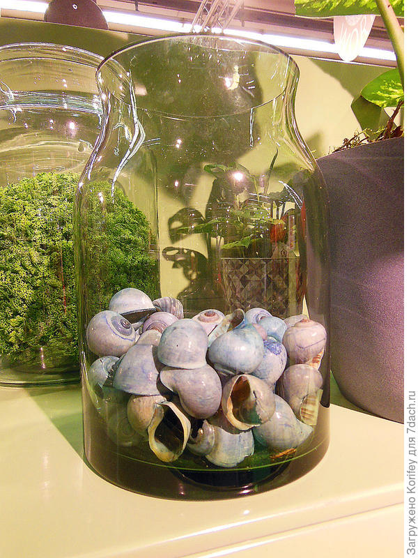 Даже обычные ракушки в банке тоже смотрятся нарядно и оригинально