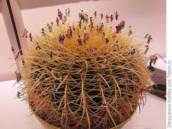 Вот что можно сделать из обычного кактуса в холле, на окне или просто у себя на столе