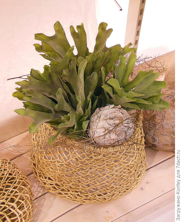 Поставьте одно единственное растение в красивую корзинку с шариком их макулатуры и у Вас уже опять праздничное настроение