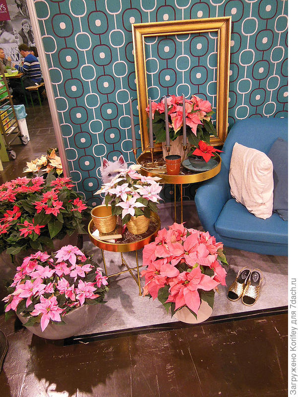 Это, конечно, уже не очень дешевые для нас изыски, но в коллекцию можно взять