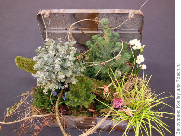 А вот что можно сделать из старого - престарого прадедушкиного чемодана