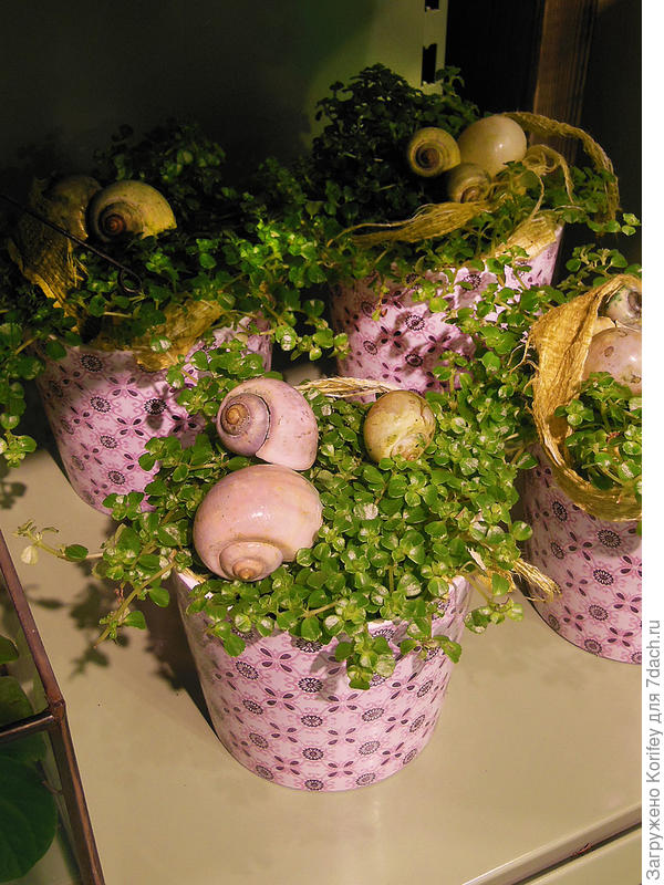 Ещё один вариант оформления простых нарядных композиций с ракушками