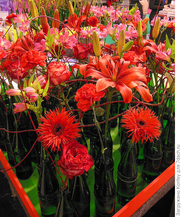 С другого ракурса