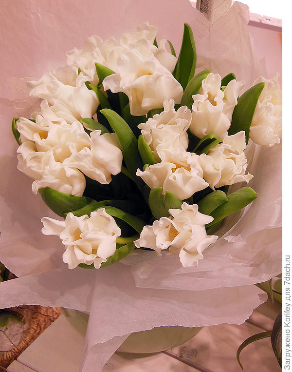 Нарядно будет смотреться и просто букет из белых тюльпанов Пикче