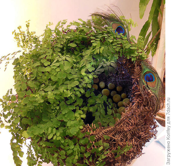 Птичкино гнездо из мха или корзинки, домашнего папоротника и пары небольших павлиньих перьев. Вечером внутрь можно поставить подсветку из небольших энергосберегающих светильничков