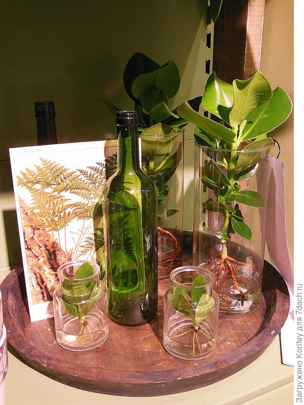 Ещё вариант с несколькими баночками, вазой и бутылкой. Красиво, оригинально и со вкусом