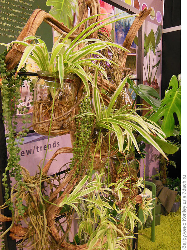 Вот как можно использовать старые баночки из-под варенья и солений