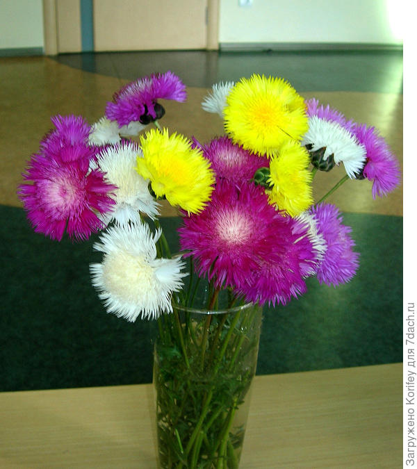 Летний букет из васильков