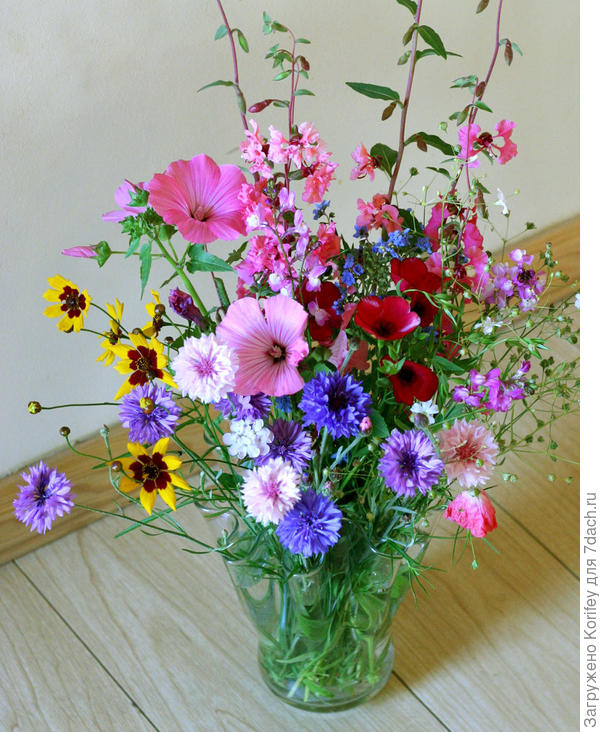 Просто летний букет из однолетников