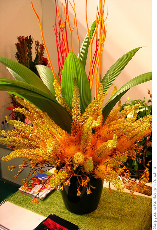 Даже эремурусы имея определенные знания и навыки не оченнь сложно у нас выращивать