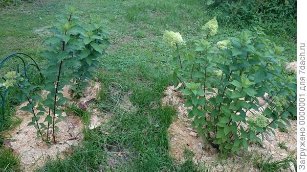 Тесновато им будет