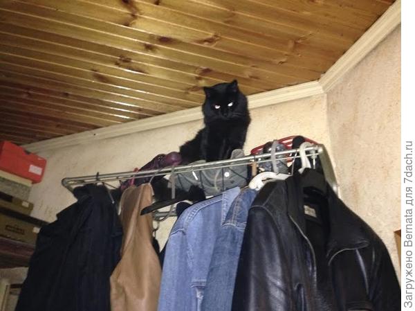 на вешалке