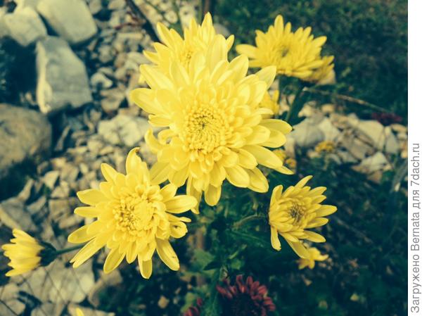 с днем рождения