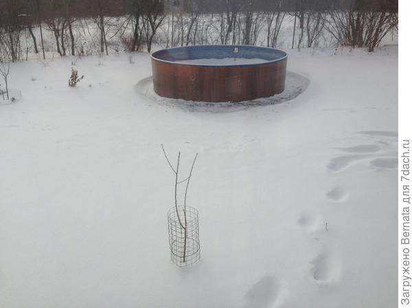 снег
