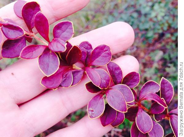 В прошлом году