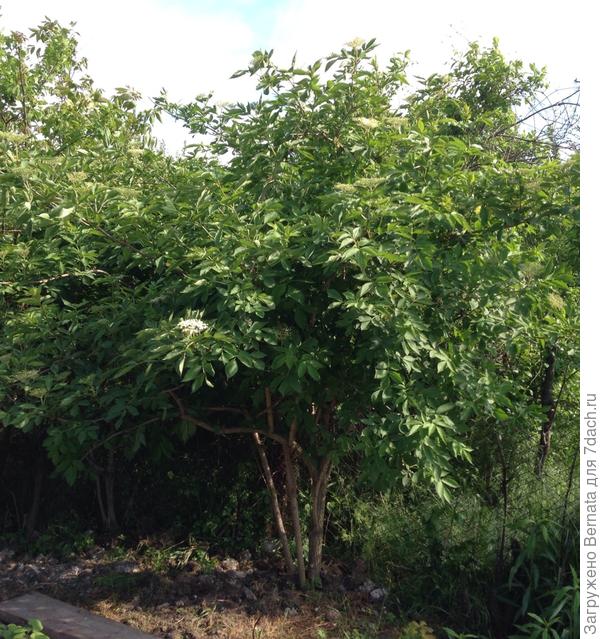 Это в апреле...