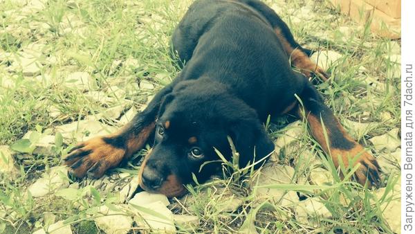 В первый день, приехал домой, устал с дороги