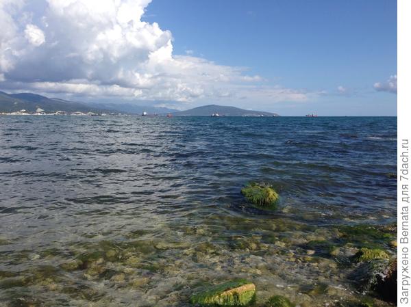 Цветы- засохли... Море осталось...