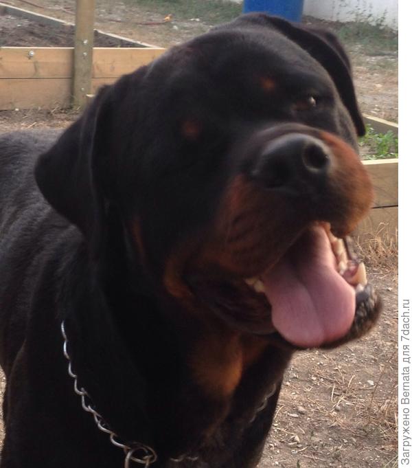 Спасибо за поздравления !!!