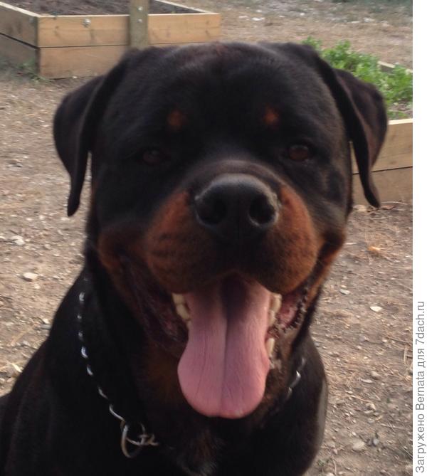 Это правда, подтверждаю