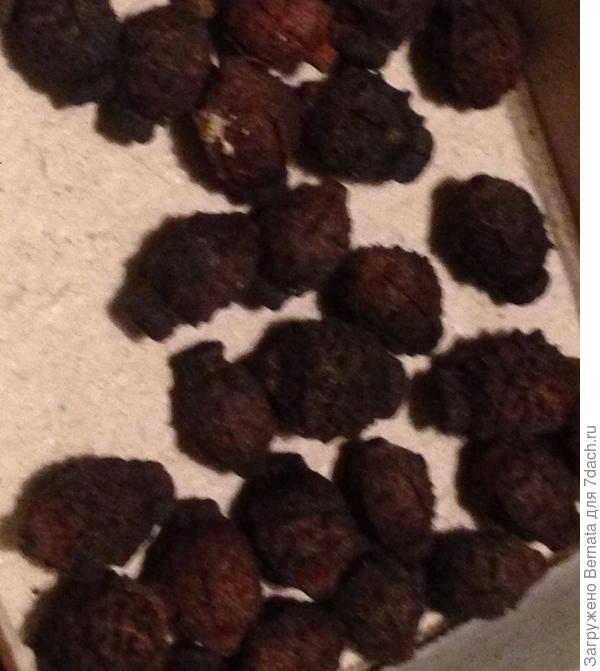 Увеличила.,,