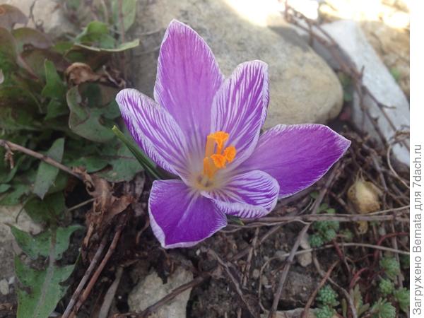 С Днем Рождения :))