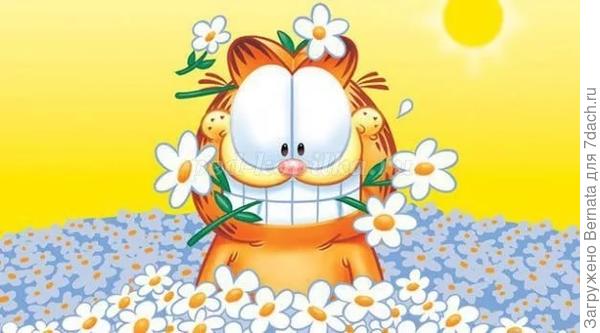 Чаще улыбайтесь и шутите :))