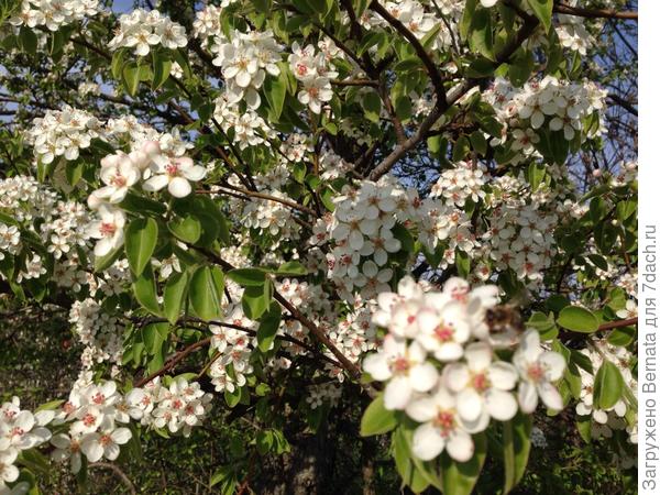 С днем рождения :)))