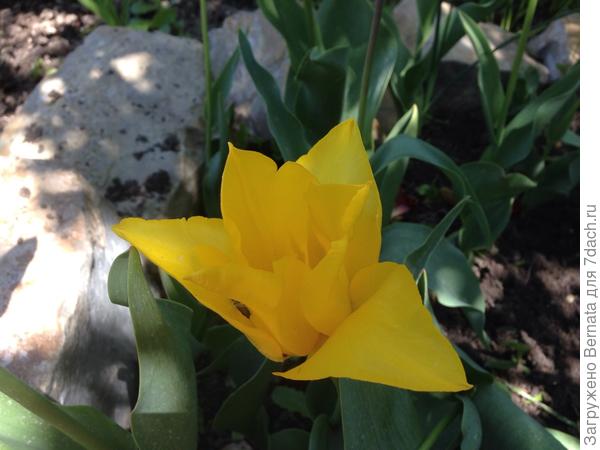 Ну оооочень мне нравятся...