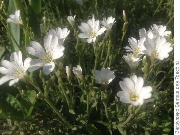 Пусть все в твоей жизни будет так, как хочешь ты:) А если, что-то не будет получаться, не опускай руки, а взгляни на ситуацию с улыбкой:)) и начни все заново, но с другим настроением :))