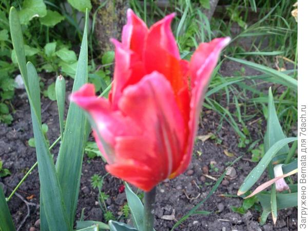 Виктор, поздравляю и желаю всего самого лучшего;)))