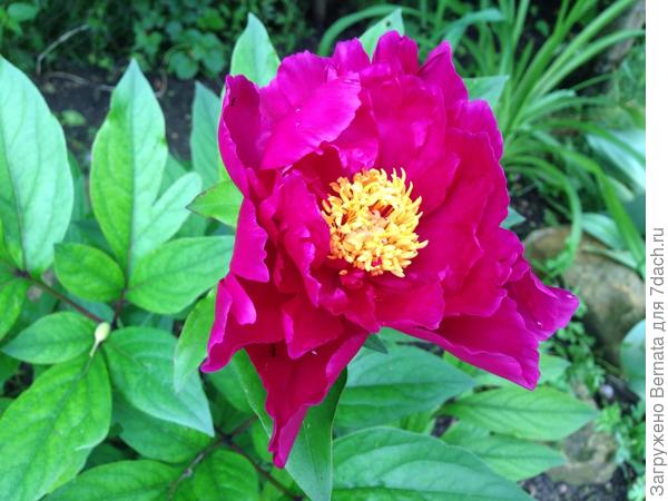 Вот таким он оказался...