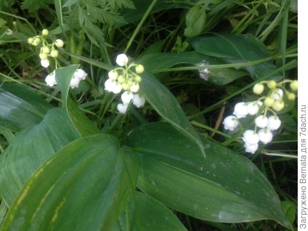 И никакие они не агрессоры.., а совсем наоборот...