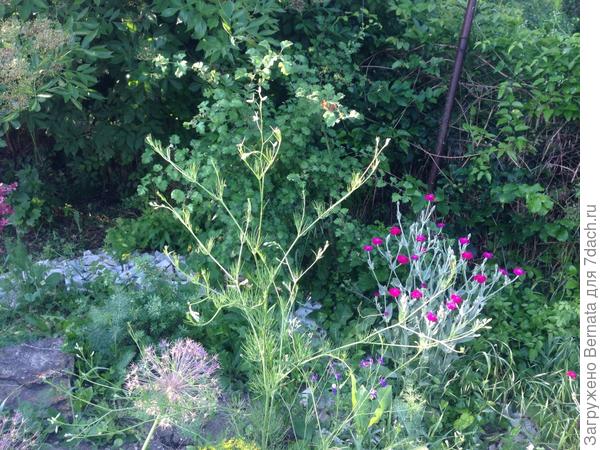 Видишь, какой важный сидит на горке?