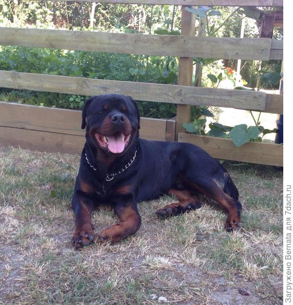 ЮджиНЯША всех поздравляет:)))