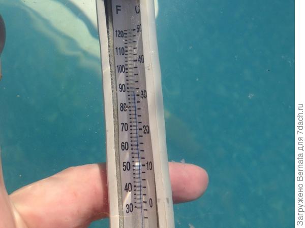 В бассейне +32