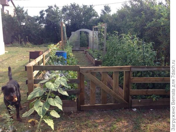 Вон он... Везде старается в кадр попасть:)))