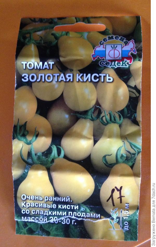 Золотая кисть от СеДеК