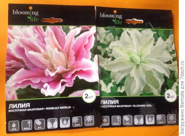 Хотелось - ТАК:)