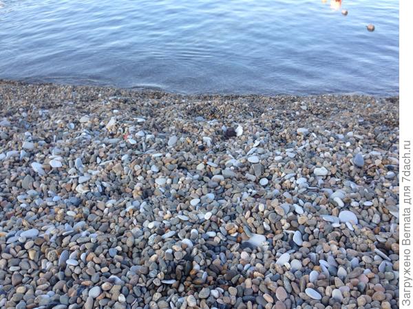 Для Софии;)))