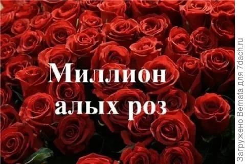 И миллион алых роз !