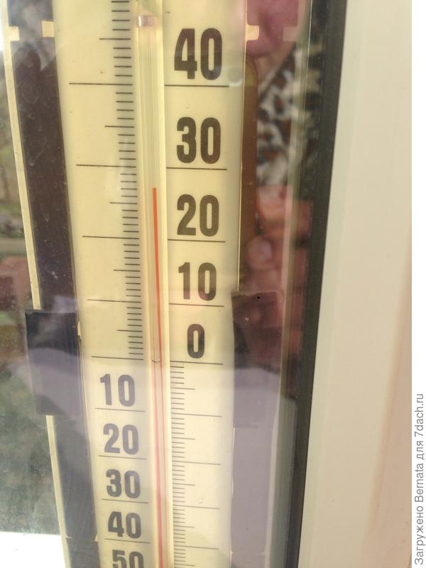 Так- сейчас на солнце. В тени примерно +18-19... Может и больше...