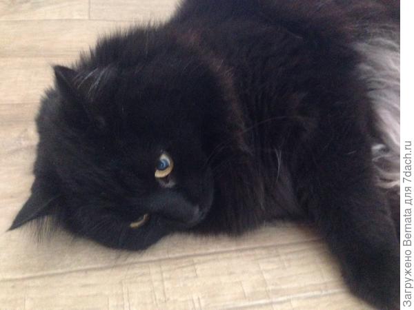 Ленюсь к тебе ехать... У нас тепло и птички летают