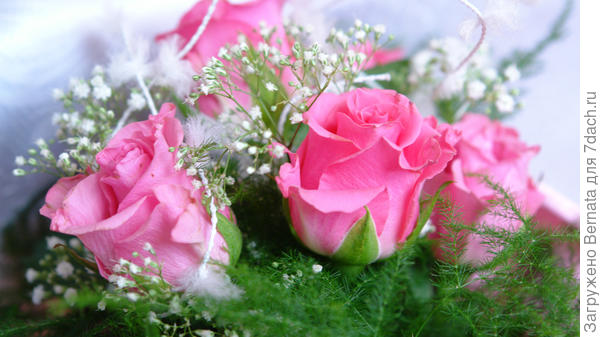 В жизни есть такие мгновения, От которых светло на сердце. Так пускай же твой день рождения Будет чистым и ярким, как в детстве!  Я желаю тебе здоровья, Счастья, радости и везения, Чтоб твой дом был наполнен любовью. И для добрых дел вдохновения!  Пусть года вереницей упрямой Устремляются в даль столетий — Ты всегда будешь самой-самой Дорогой и любимой на свете! © http://pozdravok.ru/pozdravleniya/den-rozhdeniya/zhenshchine/9.htm