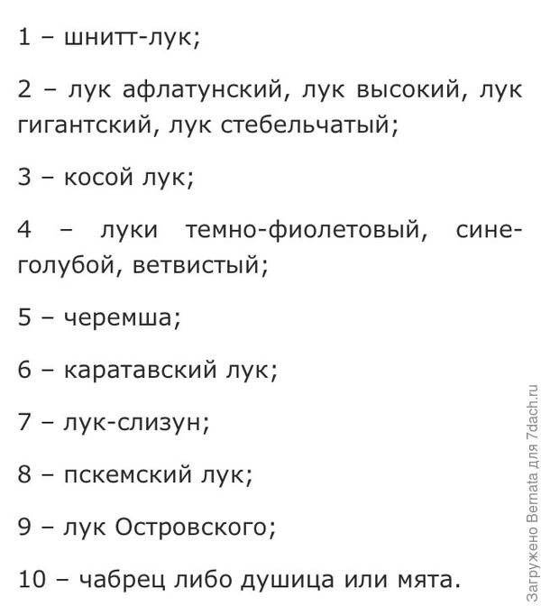 Требуемые сорта луков