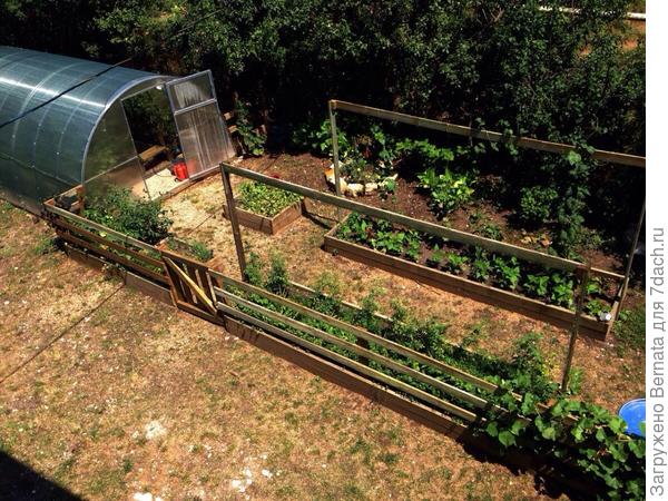 Тень такие &quot;рамки&quot; не дают, но очень удобные даже если не натягивать сетку, а просто подвязывать те же помидоры.